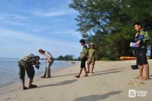 Turtle release in Tanjung Keluang