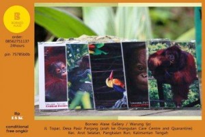 biodiversity post card