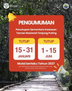 Tanjung Puting Recovery Schedule
